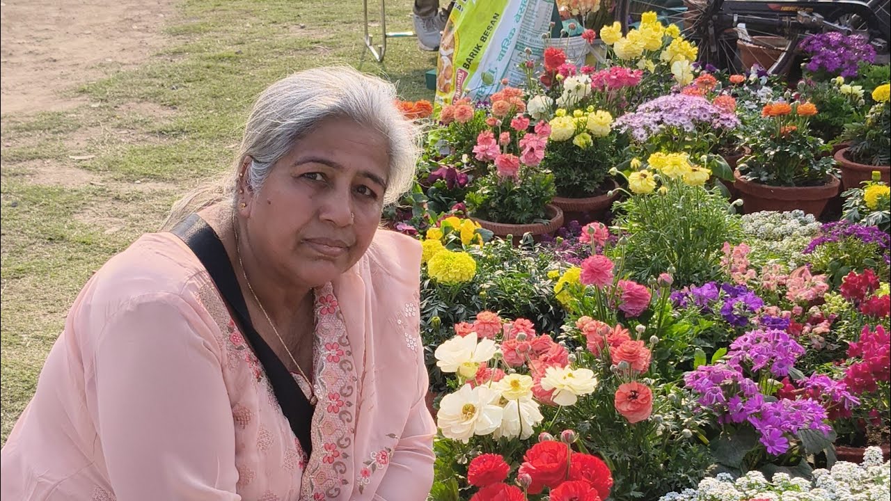 daadi ki gardening & vlogs is live,,🌳🌲🌳