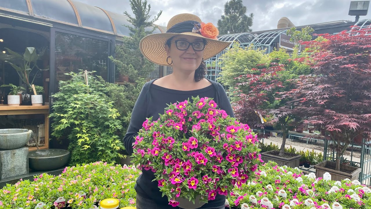 Plant of the Month: Calibrachoa Exclusive ‘Bumblebee Hot Pink’ and ‘Cha Cha Viva’