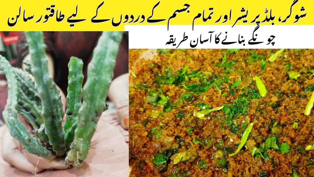 Qeema Chongay (قیمہ چونگیں) Recipe | Healthy & Tasty Desi Salan | Best for Sugar & BP Patients