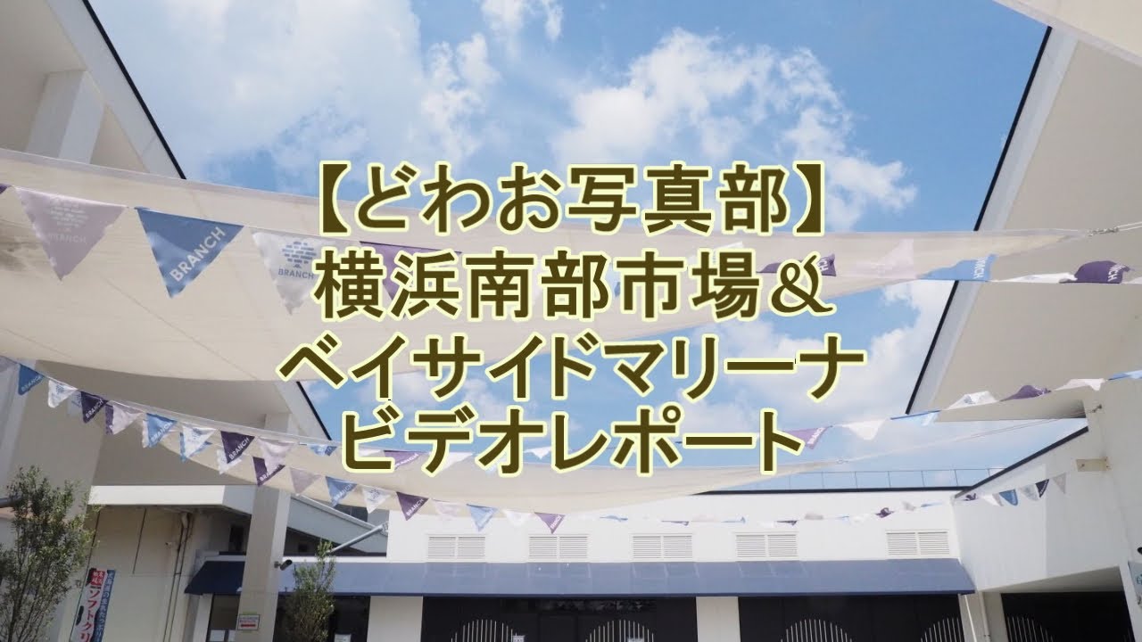 【どわお写真部】横浜南部市場＆横浜ベイサイド【ジーぽん＆ヤンくんのまいふぇいばりっと】