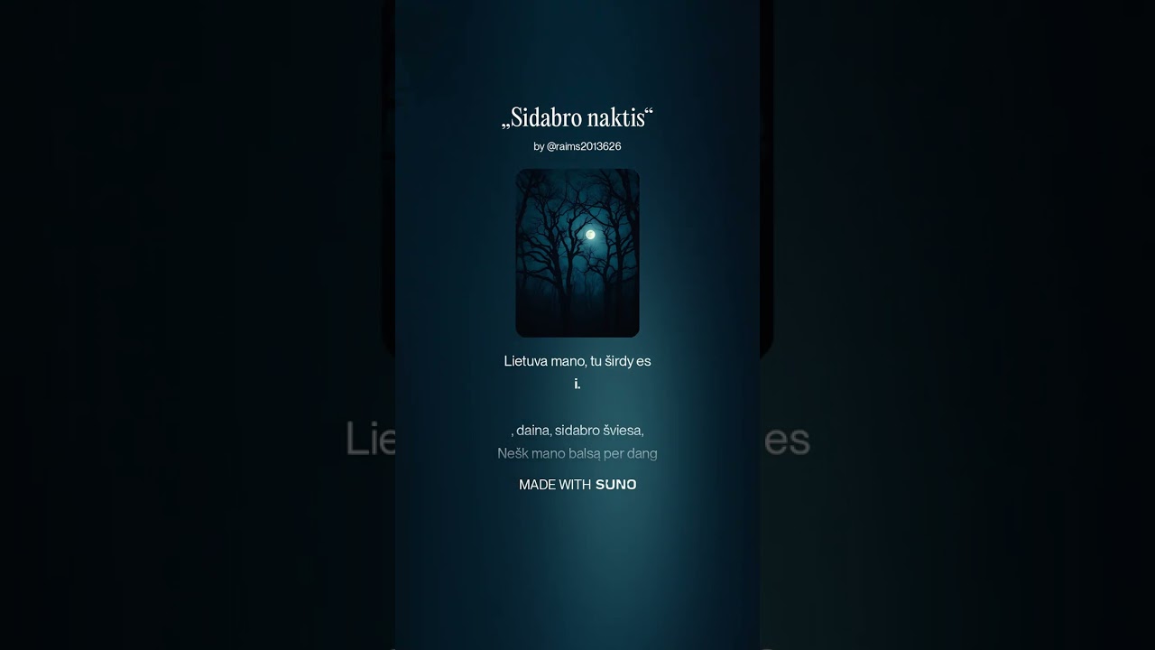 Sidabro naktis