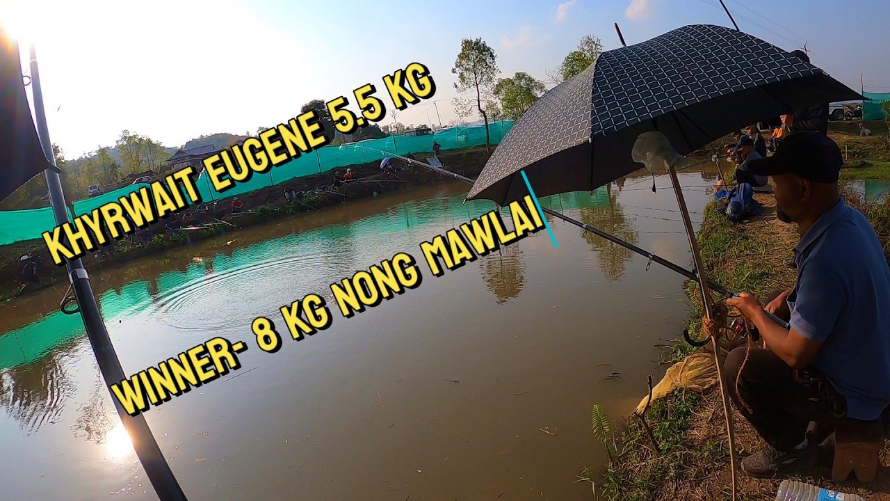 WINNER 8 KG NONG MAWLAI --EUGENE 5.5 KG
