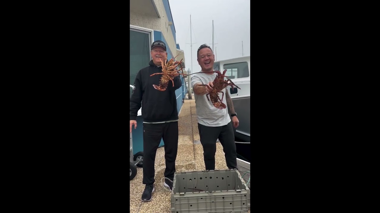 Open for ordersFresh premium-crabs and lobsters straight from the sea. 