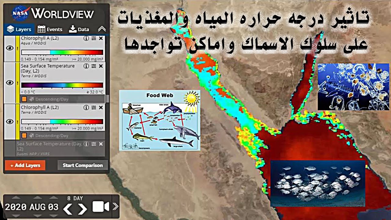 شاهد تاثير درجه حراره المياه والمغذيات على سلوك الاسماك واماكن تواجدها
