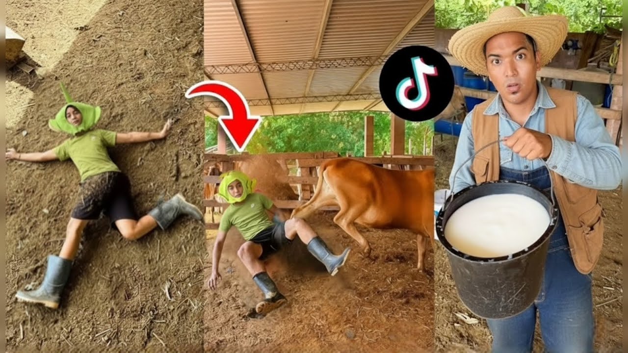 24 HORAS EN UNA GRANJA | TIKTOK JOSE LUIS PIS