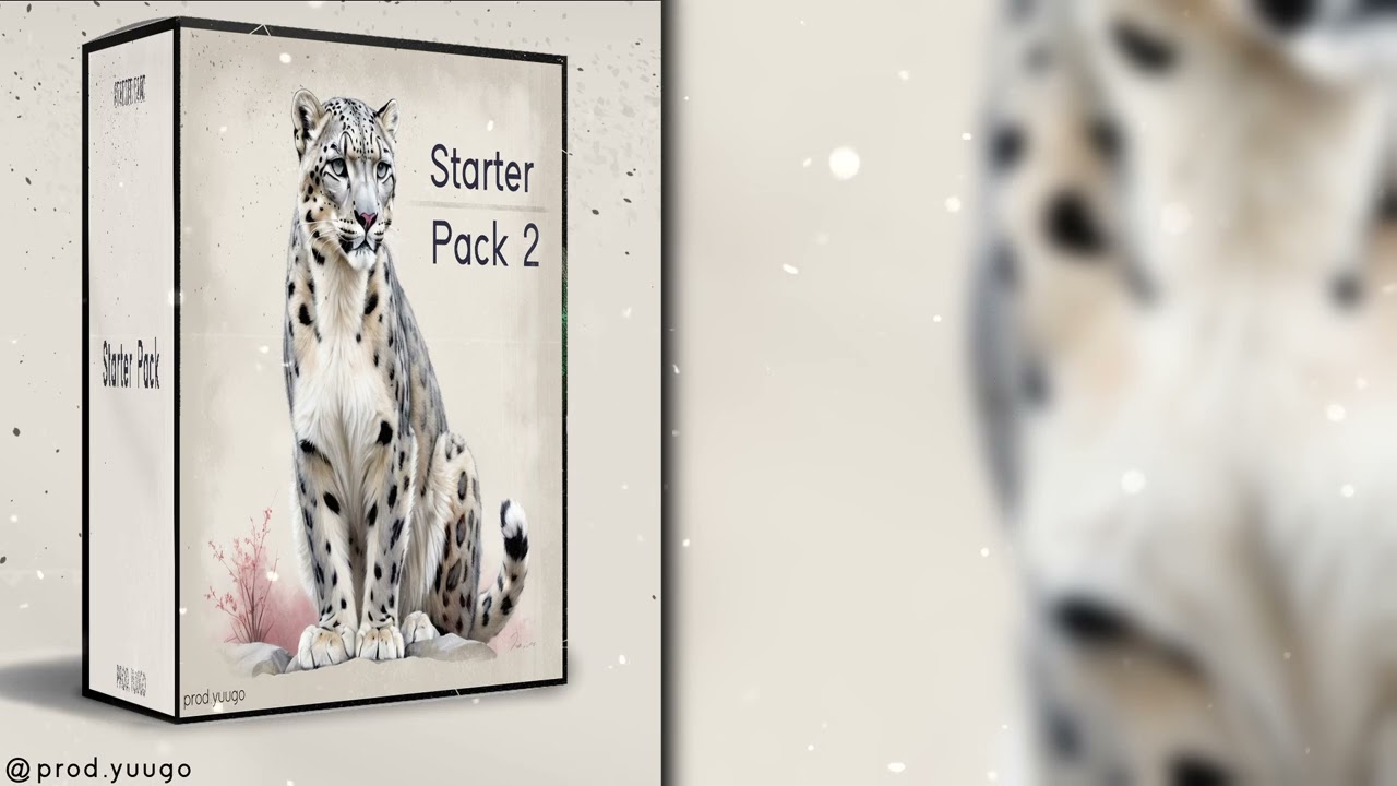 「Starter Pack」Japanese X Asian Starter Pack 2