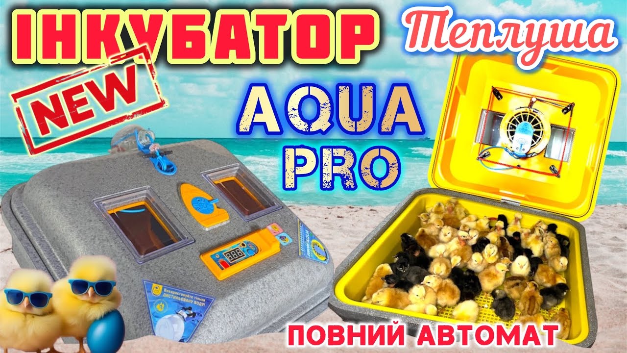 ✅Інкубувати стало ЛЕГШЕ‼️Новий ІНКУБАТОР Теплуша Euro88 AQUA Pro🐥Він зробить все сам і навіть більше