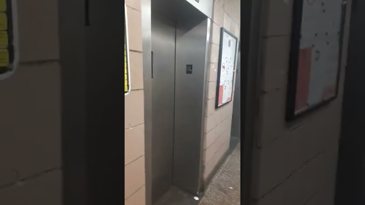 Harlem DT's collecting trash in the Polo Grounds Tower.