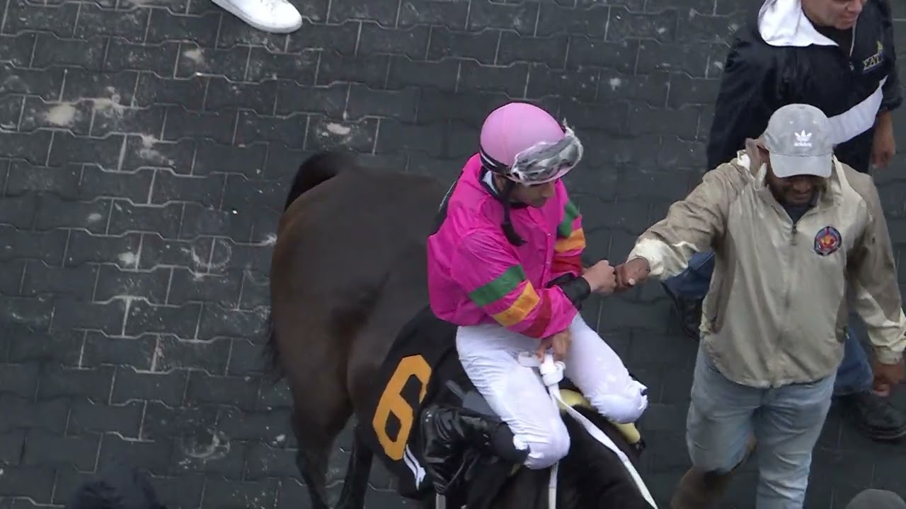 Gulfstream Park Replay Show | February 18, 2024