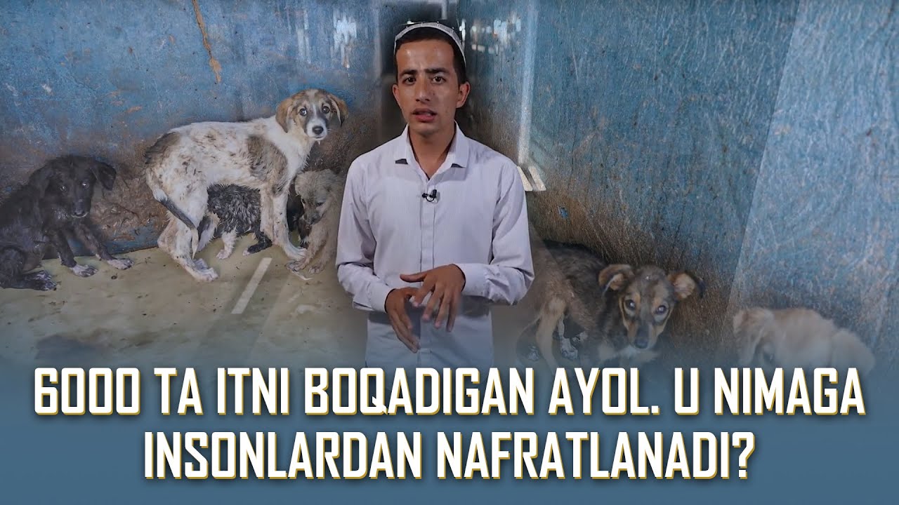 6000 ta itni boqadigan ayol! Biz hayvonlarga shu darajada shavqatsiz munosabatdamizmi?