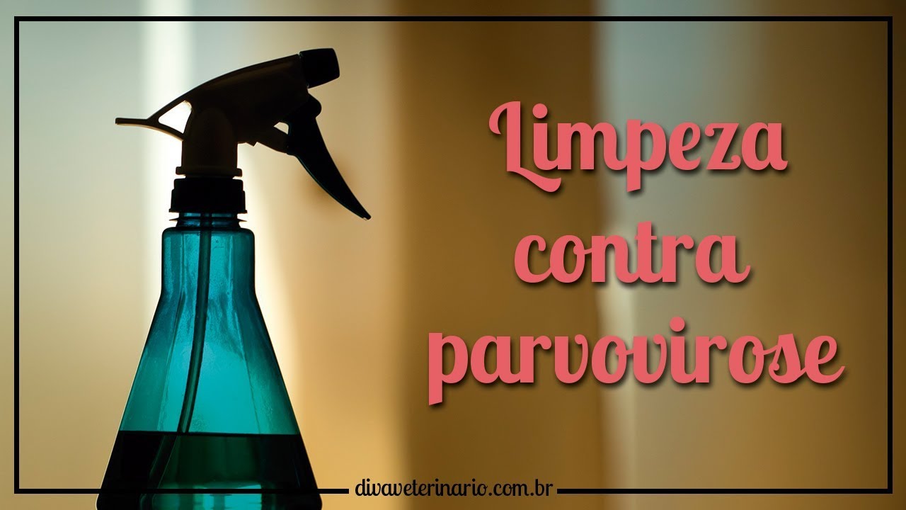 LIMPEZA CONTRA PARVOVIROSE | Divã Veterinário