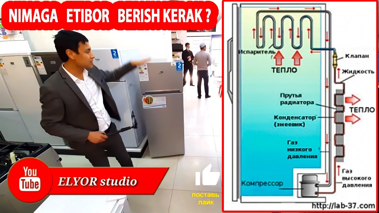 QANDAY  MUZLATGICHNI  TANLASH KERAK  КАКОГО ХОЛОДИЛЬНИКА ВЫБРАТЬ  NIMALARGA  ETIBOR  BERISH KERAK