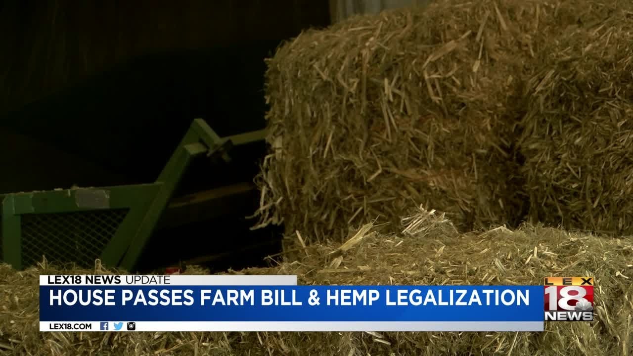 House Passes Farm Bill & Hemp Legalization