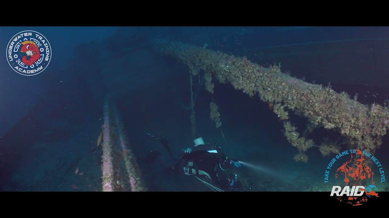 Arturo Volpe wreck - Oloturia Sub diving Messina - DiveRaid