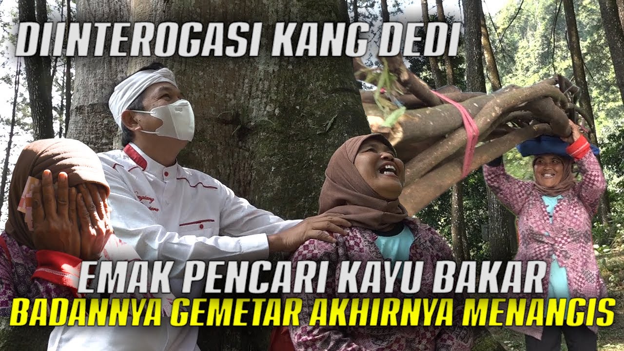 KISAH IBU SURYATI PENCARI KAYU BAKAR DI KAKI GUNUNG SALAK | SERING LINDUNGI RUSA DARI PEMBURU