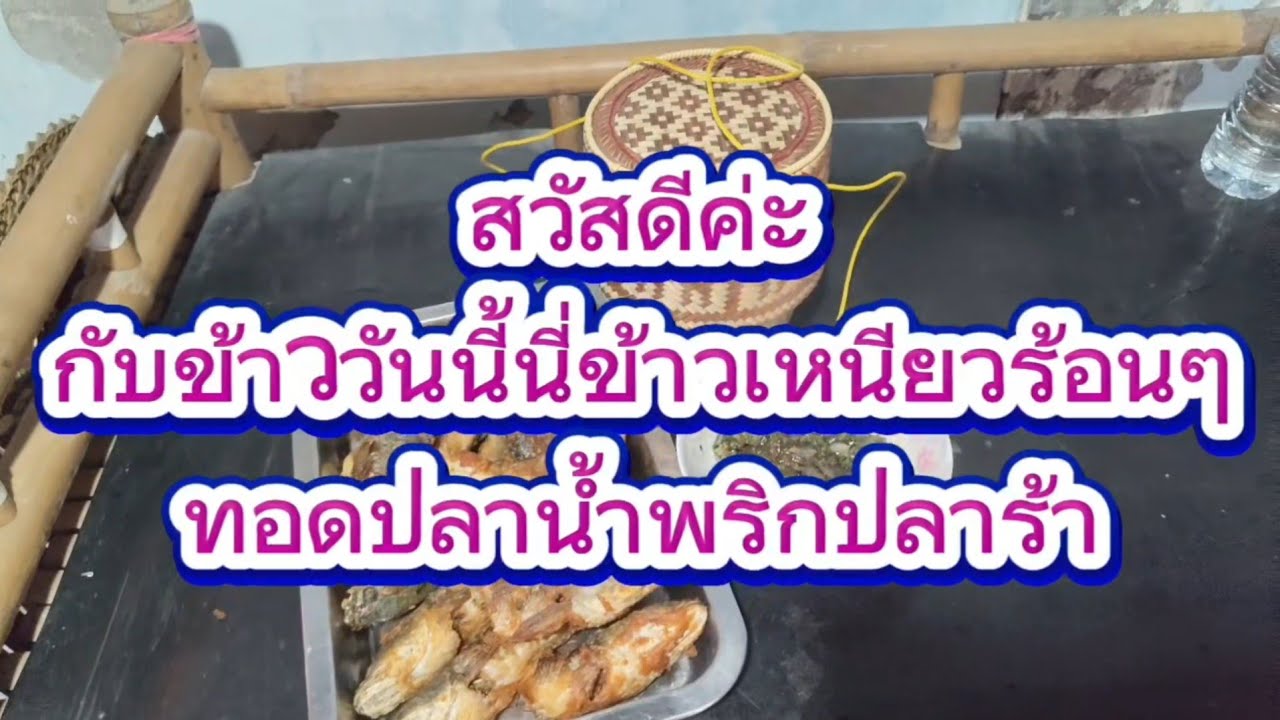 #Ep 245 สวัสดีค่ะวันนี้เข้าครัวทำเมนูบ้านๆ ทอดปลา แจ่วปลาร้า ข้าวเหนียวฮ้อนๆ