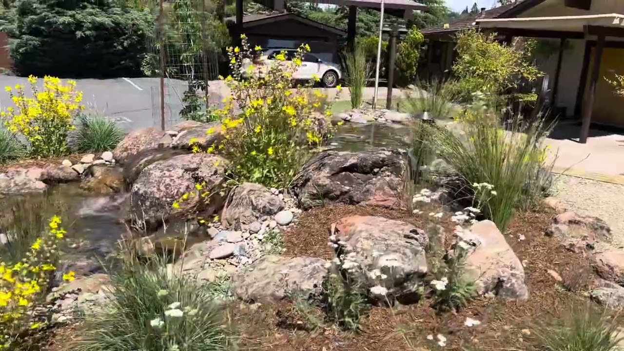 Blooming Waterfalls