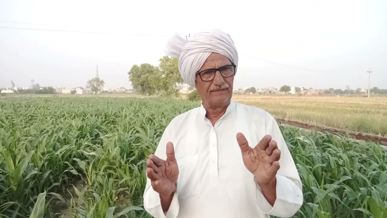 निंद नशा और पर नारी मर्द के लिए केनसर, से भी घातक हैं ये तीन बीमारी क्या परिणाम होते हैं इनके देख लो