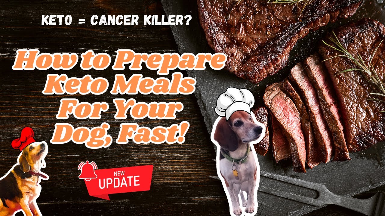 Healthy Homemade Keto Dog Food Recipes | Keto Senior Dog  Food for Cancer?