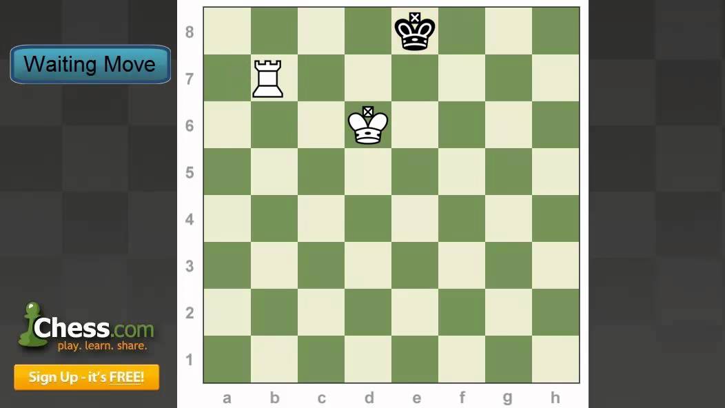 Chess Endgames: Checkmating with a Rook