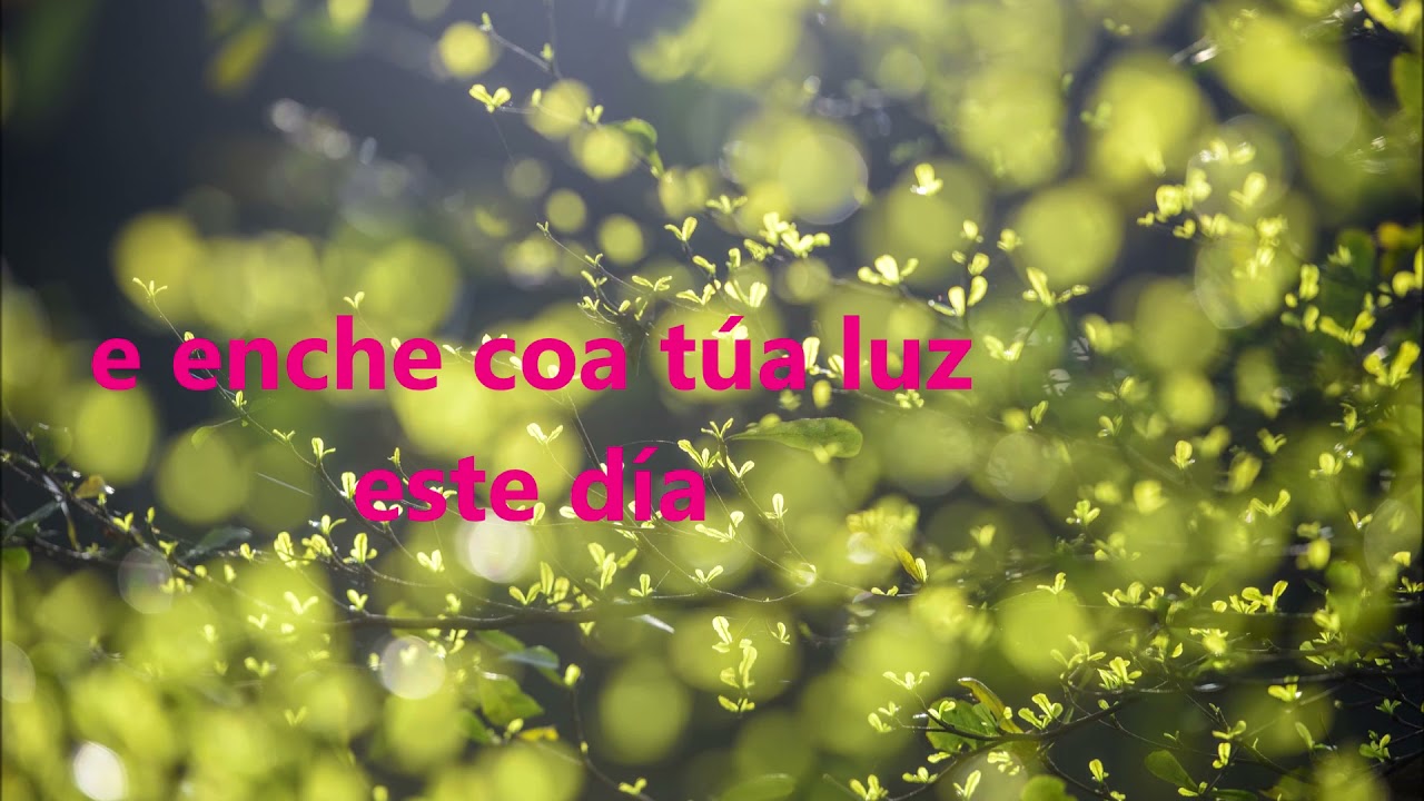 CANDO A LUZ DO DÍA