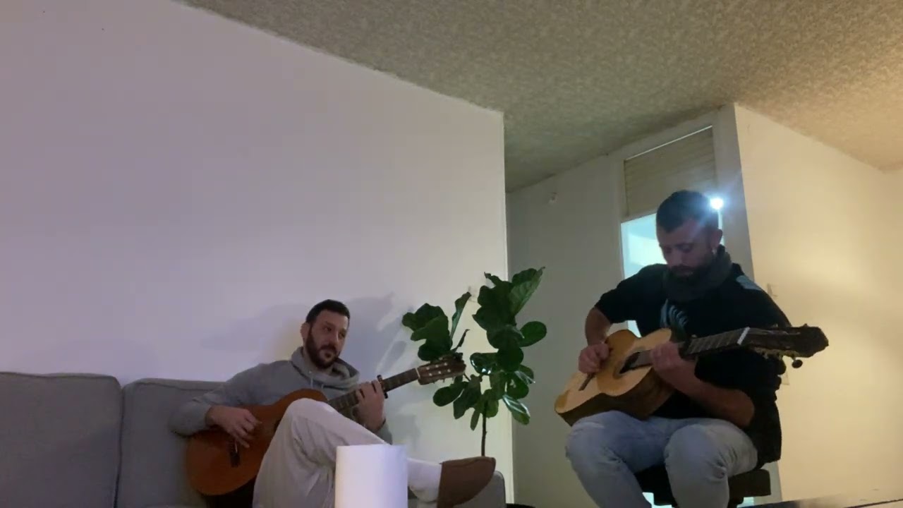 For the damaged coda 2 guitars 