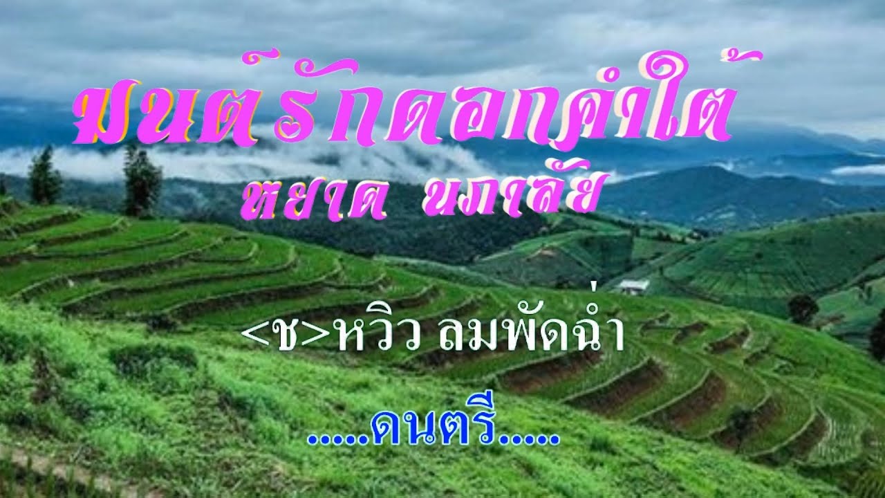 ♬มนต์รักดอกคำใต้ หยาด นภาลัย #karaoke #คาราโอเกะ
