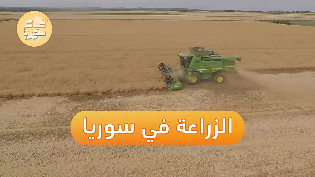 واقع القطاع الزراعي بسوريا ودوره في النهوض بالاقتصاد | صباح سوريا