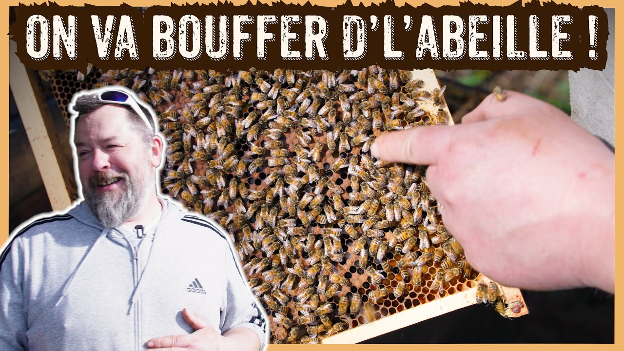 DES ABEILLES ET DU FESTIVAL !   [S08E09]