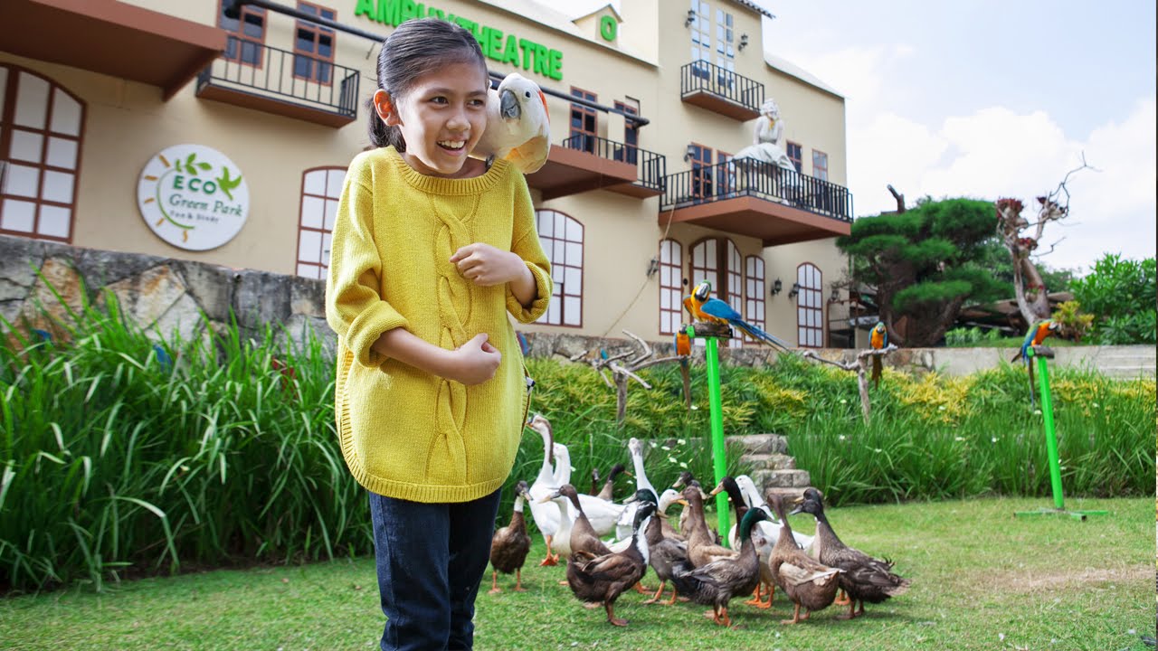 Eco Green Park [English Version]
