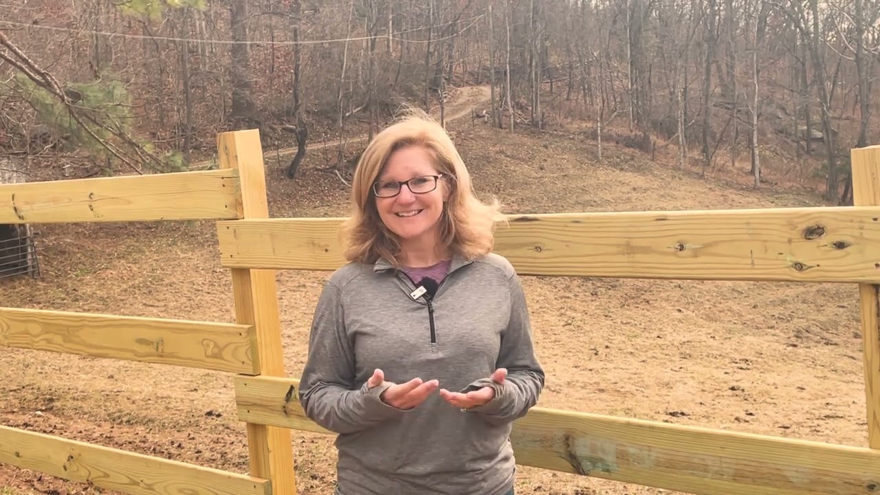 Watching Her Grow | A Mom Reflects on What Her Daughter Is Learning at Barnabas