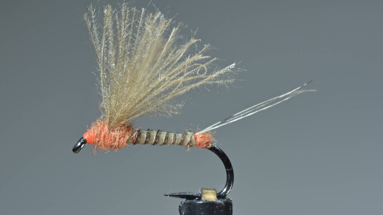 How to tie a catchy fly Emerger pattern, that will catch fish