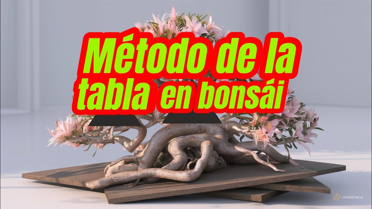 El metodo de la tabla para nebari plano