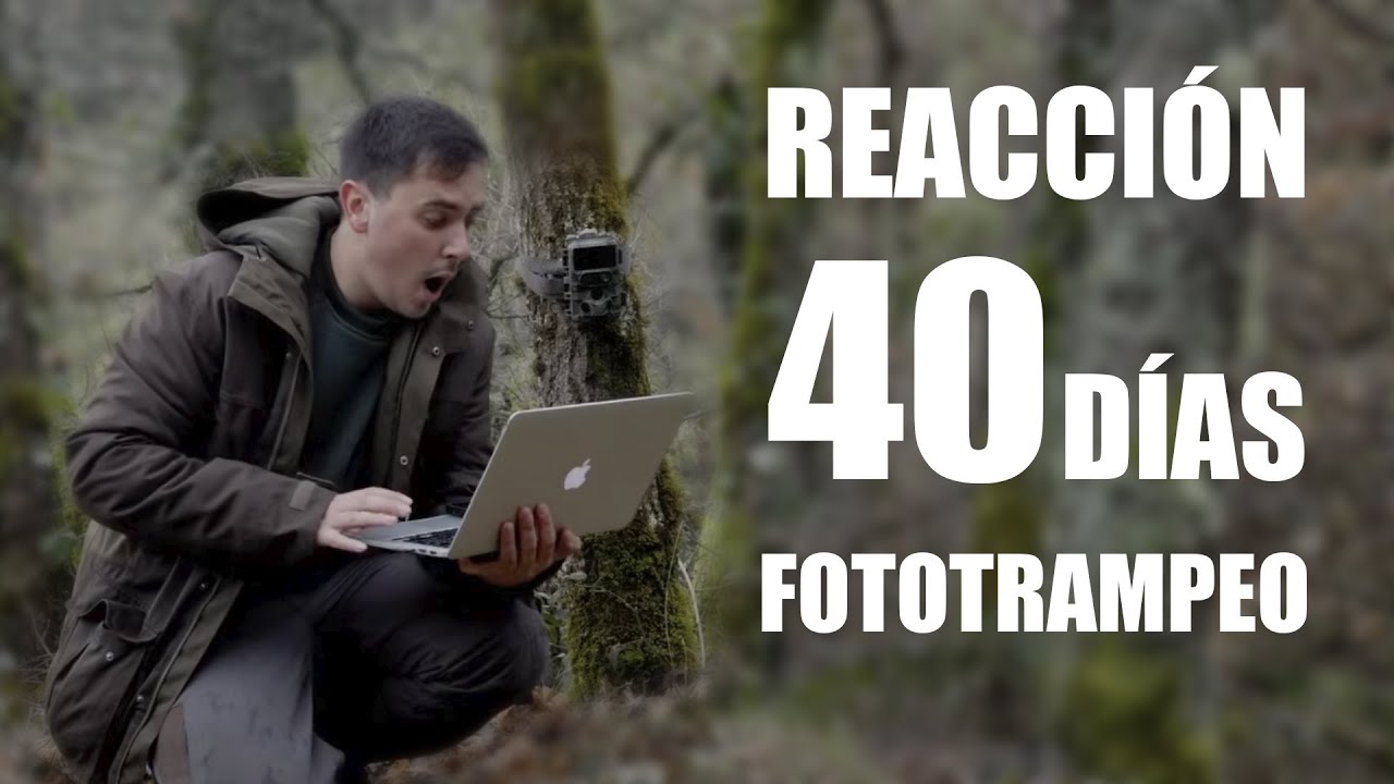 REACCIONO a lo que graban mis CÁMARAS TRAMPA tras 1 Mes en el BOSQUE