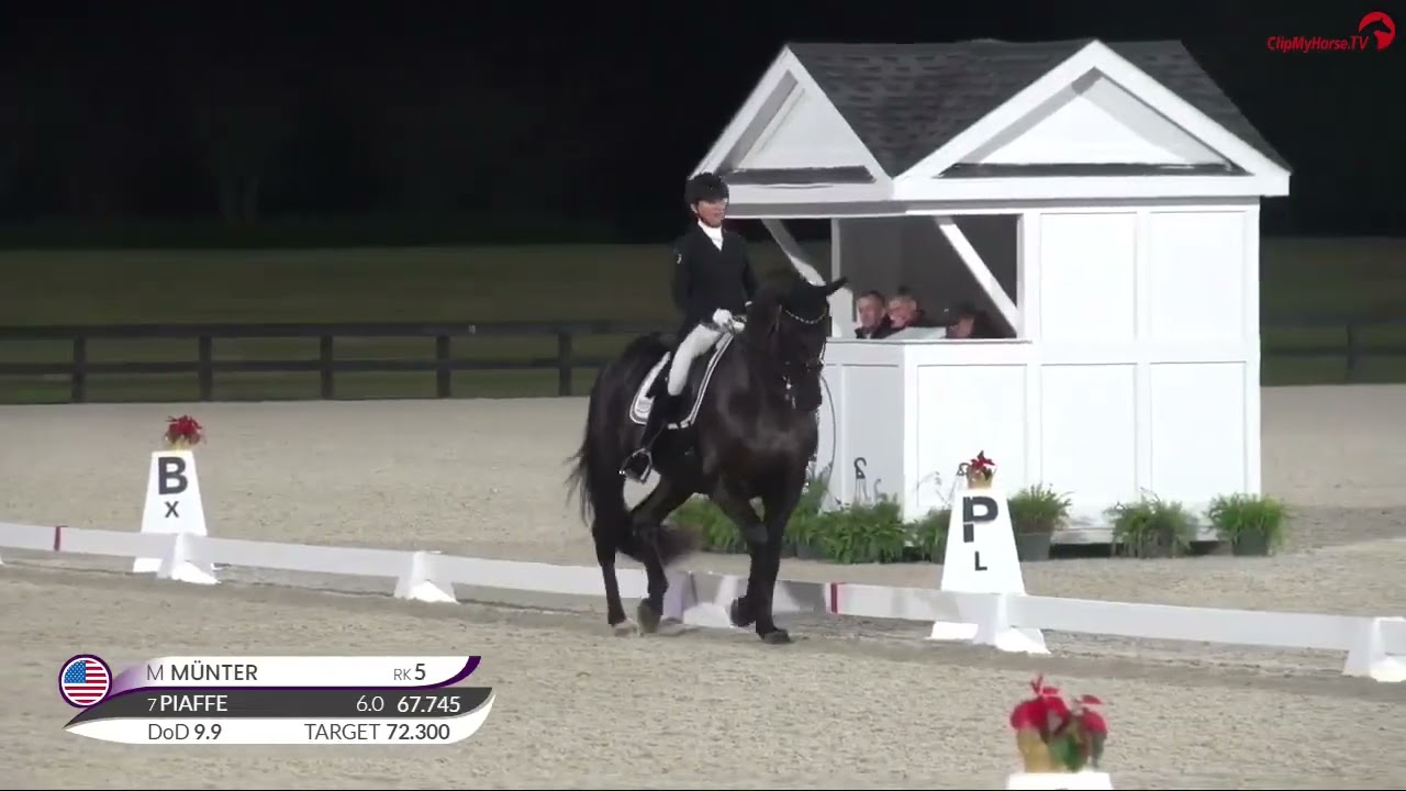 Skyfall , World Equestrian Center. Frank Sinatra Freestyle