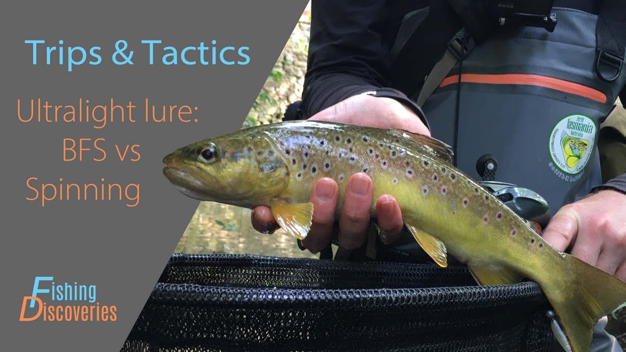 Trout on Ultralight Lures: BFS vs Spinning
