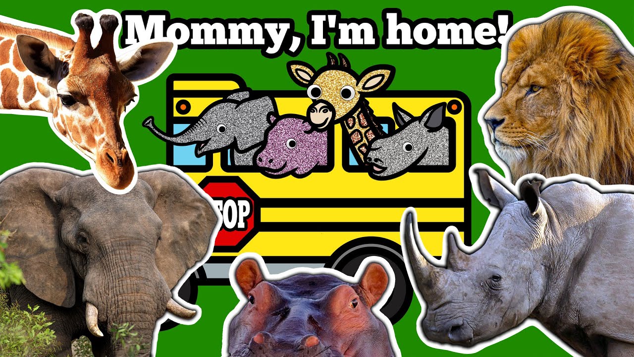 Safari Animals Come Home on School Bus to Mommy & Daddy!  Learn Animal Names with Animal Videos