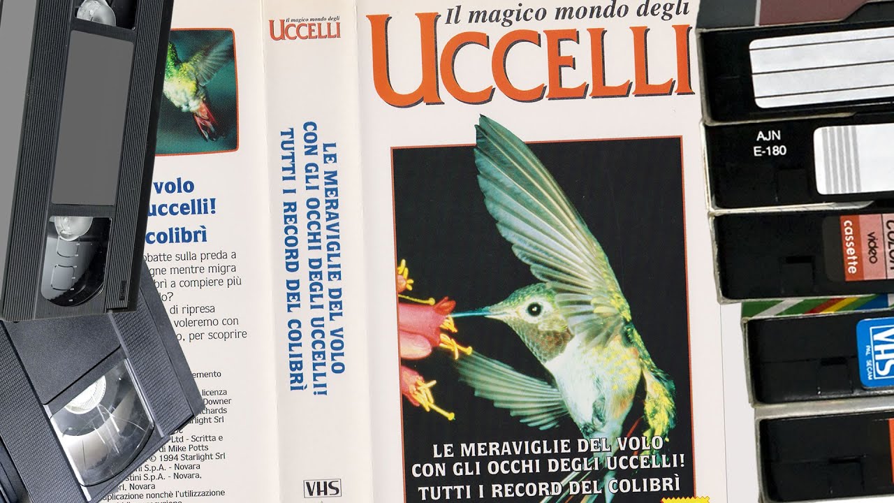 LE MERAVIGLIE DEL VOLO CON GLI OCCHI DEGLI UCCELLI