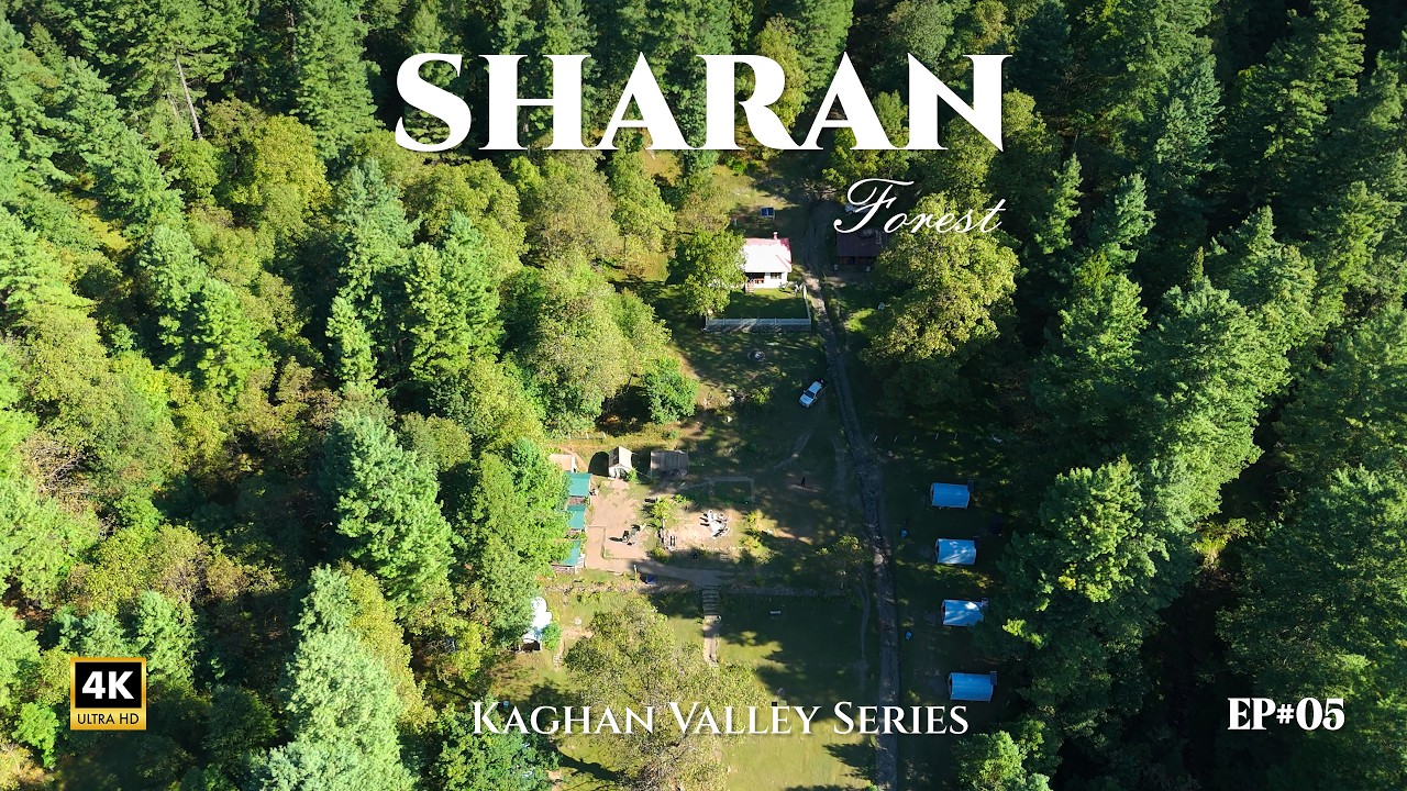 Sharan Forest & Manshi Top Trek | Pakistan's Hidden Paradise in Kaghan Valley 🇵🇰