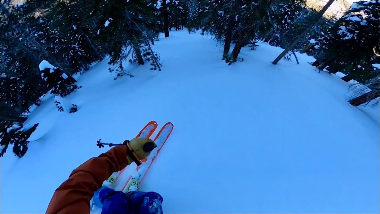 Первые повороты и впечатления от трассы Black Crows Draco #skitest #freeskiing #backcountryskiing