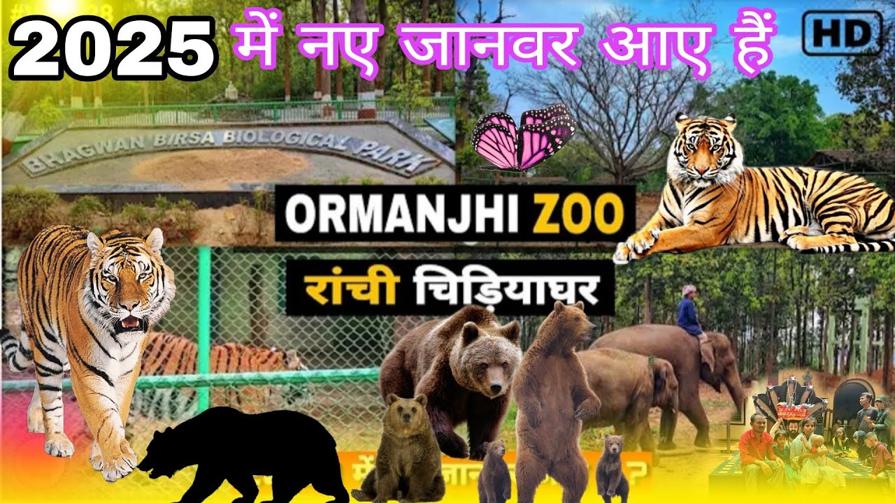 रांची चिड़ियाघर ! Ormanjhi zoo |birsa Munda biological Park Ranchi Jharkhand 2025
