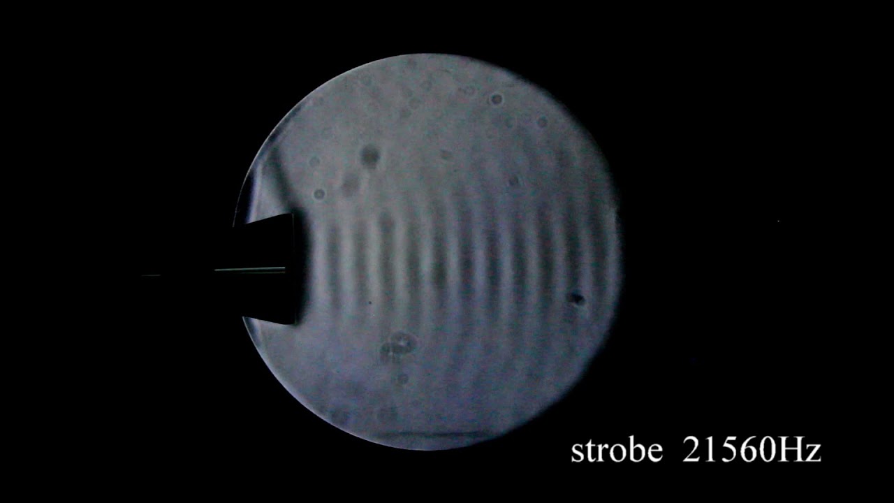 Schlieren imaging Part3 : Viewing continuous sound waves