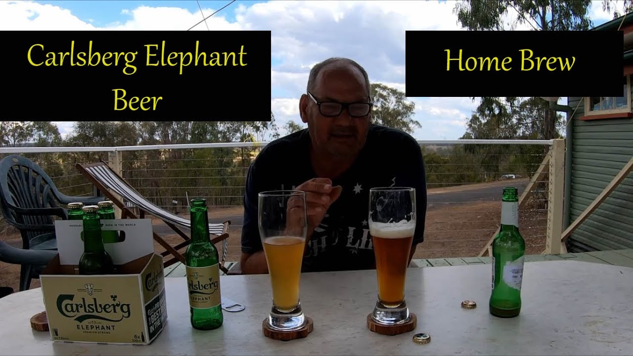 2023 Ep 26. Homebrew - Carlsberg Elephant Beer