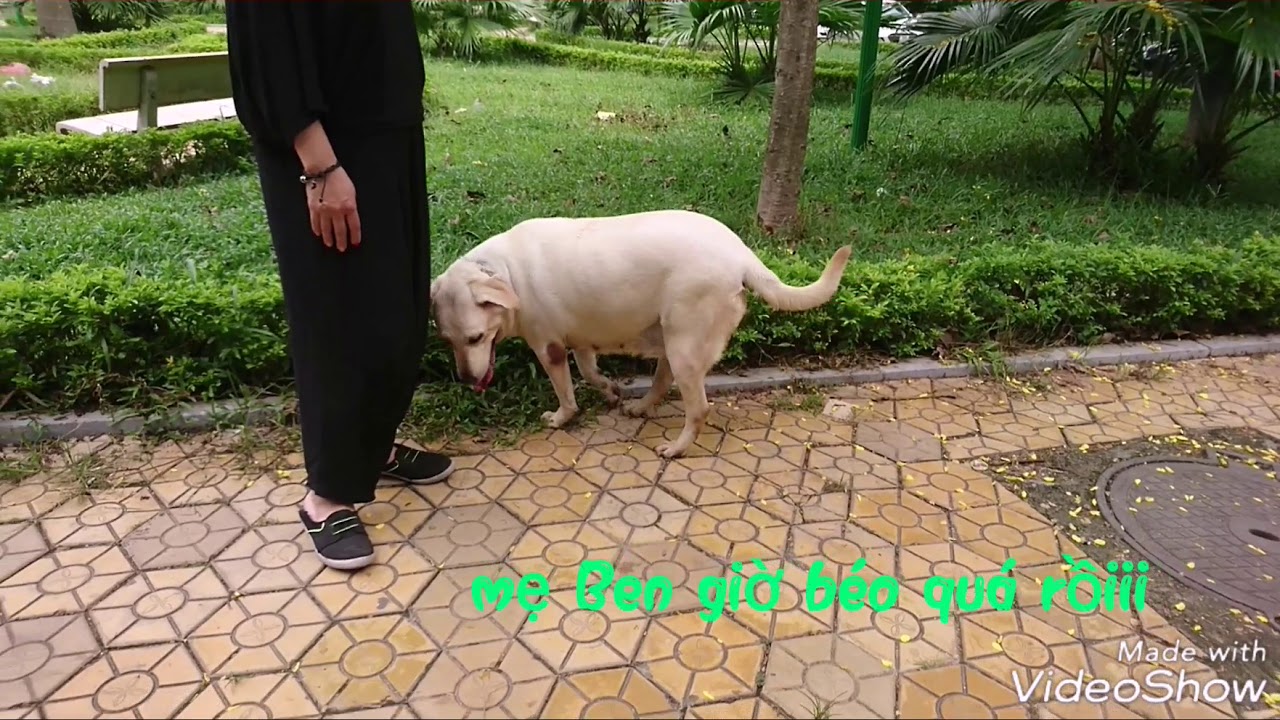 Thằng Củ Cải - Củ Cải gặp mẹ sau 19 tháng xa cách