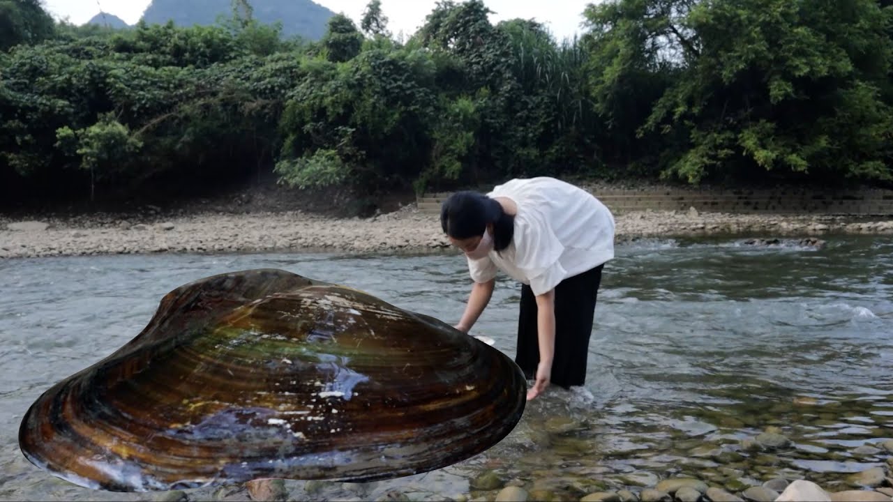 A special oyster shell was found in this river, and its pearl is a rare black pearl