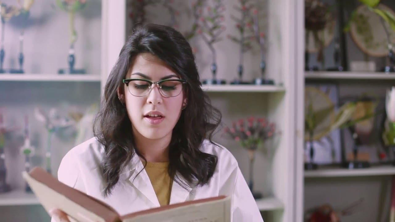 Storie di Libri - Botanica