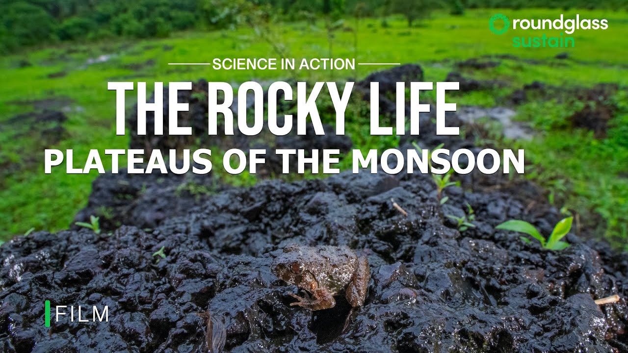 The Rocky Life: Plateaus of the Monsoon ft. Varad Giri | Western Ghats India | @RoundglassSustain