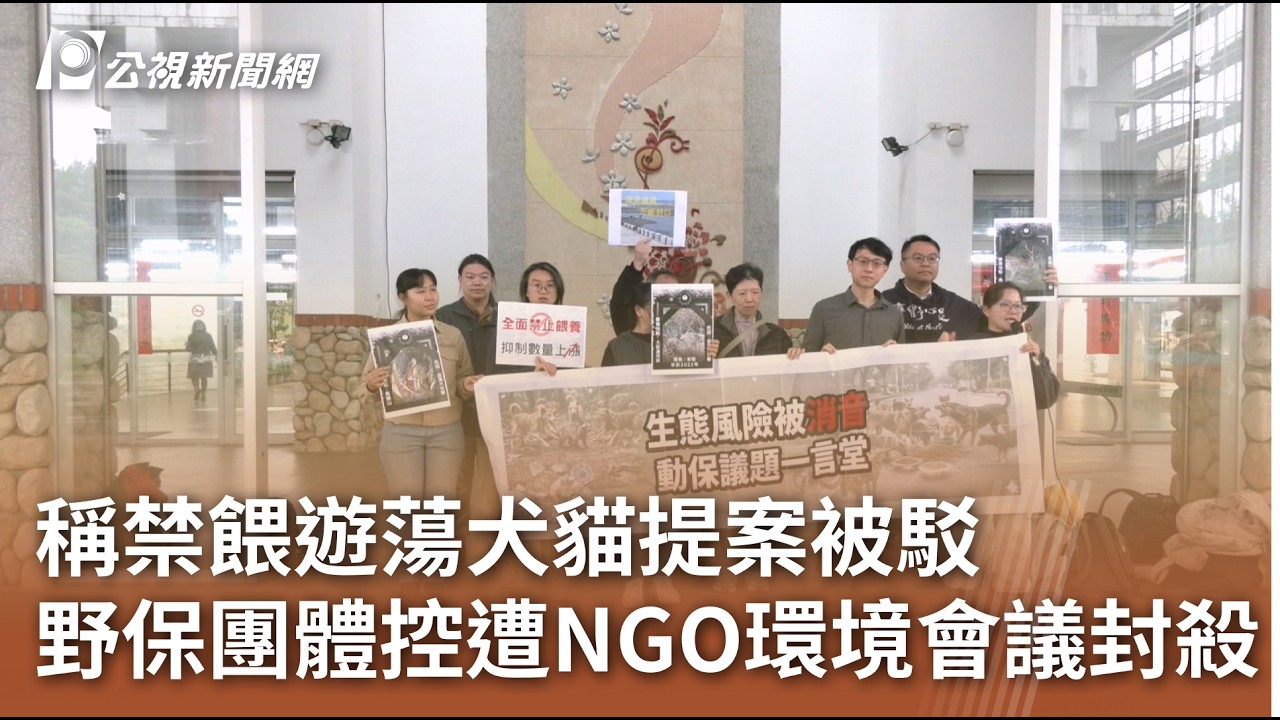 稱禁餵遊蕩犬貓提案被駁 野保團體控遭NGO環境會議封殺｜20260310 公視午間新聞