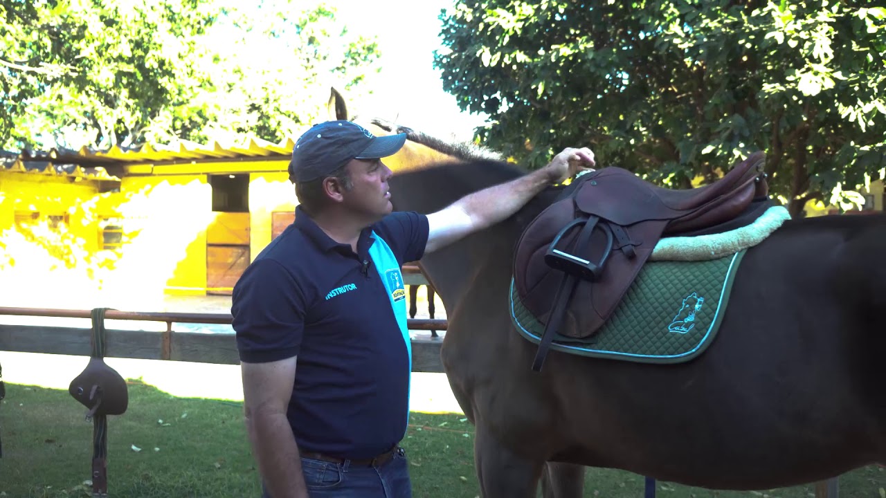 AULA EQUESTRE - COMO ENCILHAR O CAVALO