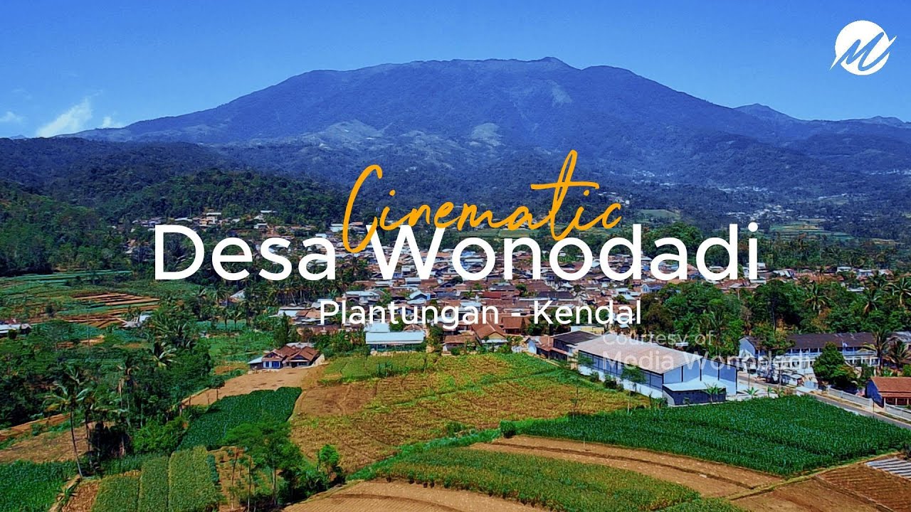 Cinematic Desa Wonodadi, Plantungan, Kendal